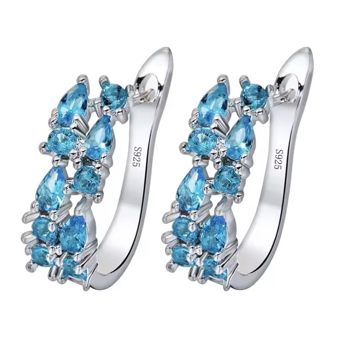 Luxury 925 Sterling Silver Earrings